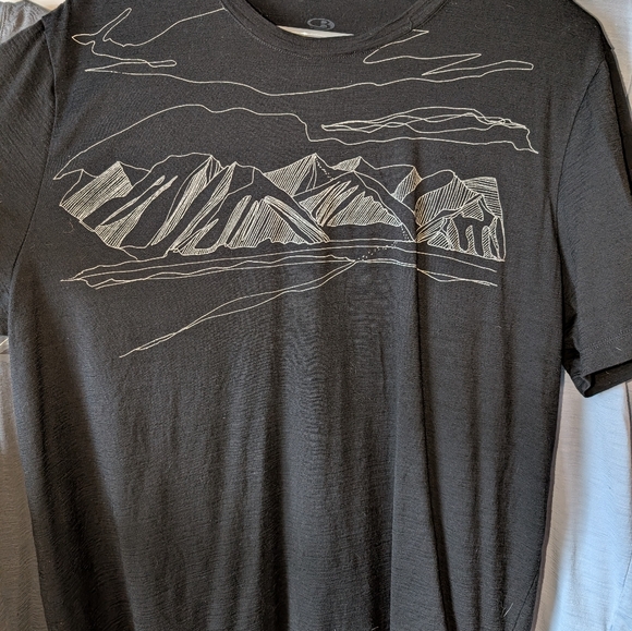 Icebreaker Tshirts (5) Large - Picture 4 of 11